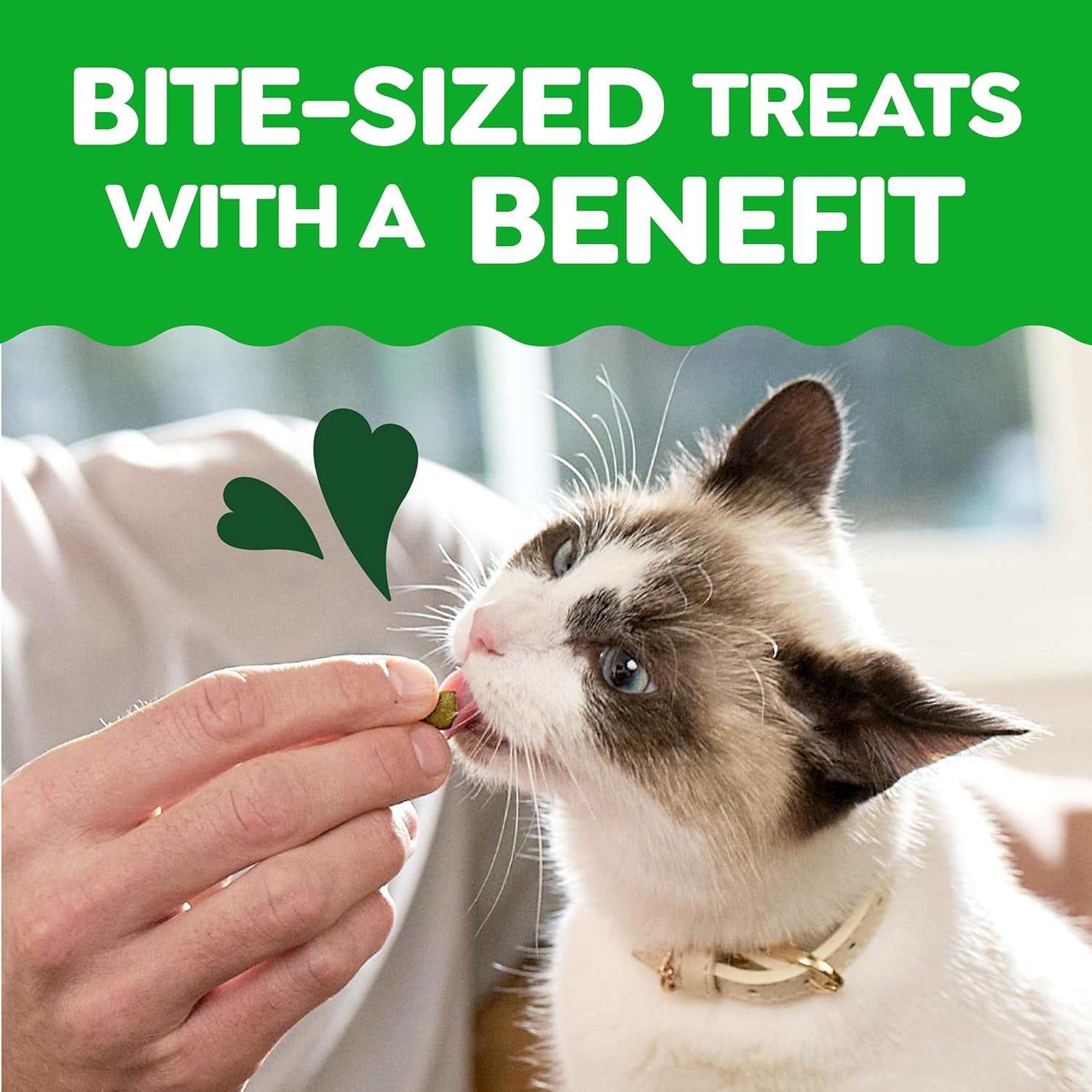 greenies-feline-smartbites-kitten-treats-chicken-flavor-2-1-oz-dha-for-brain-vision-development-supports-immune-system-under-2-cal-treat-no-artificial-flavors-preservatives-1-lb-tub