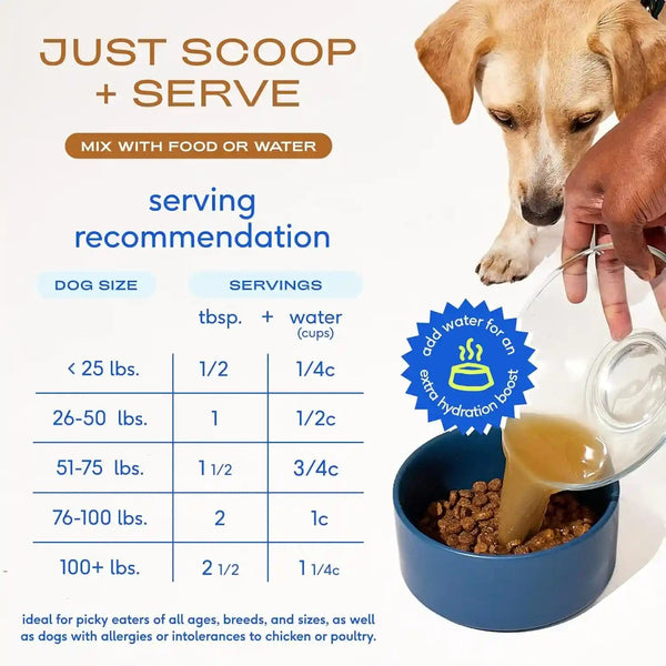 Native Pet Bone Broth for Dogs - Made with Real Beef Bone Broth, Dog Food Toppers for Picky Eaters - Provides Extra Hydration & Nutrition for Joint Strength, Immunity & Heart Health-48 Scoops6