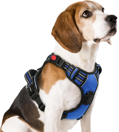 Rabbitgoo Dog Harness Medium Sized, Updated Easy on & off with 3 Buckles | No Pull No Choke, Walking with 2 Clips and Handle, Adjustable Soft Reflective, Blue, Medium1