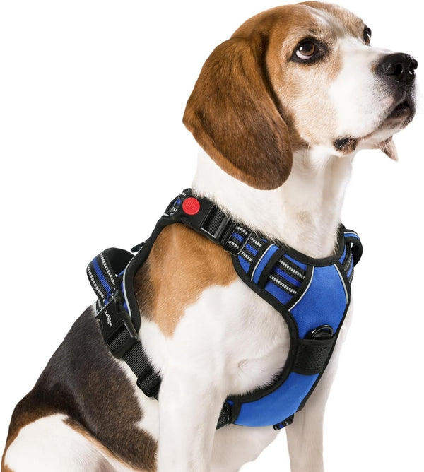 Rabbitgoo Dog Harness Medium Sized, Updated Easy on & off with 3 Buckles | No Pull No Choke, Walking with 2 Clips and Handle, Adjustable Soft Reflective, Blue, Medium1