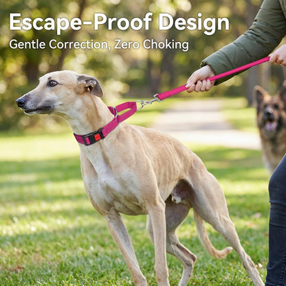 Joytale Martingale Collar for Dogs, Escape Proof No Pull, Hotpink, M | Gentle Cinch Stops Pulling without Choking, Safety Lock Buckle, Reflective Stitching for Night Walks, Soft Nylon3