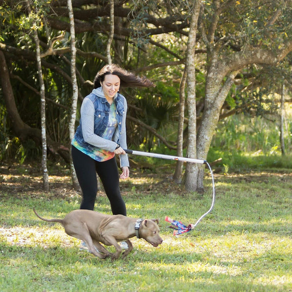 Squishy Face Studio Flirt Pole V2, Purple/Blue Tie Dye, Regular 36" | with Lure, Durable Dog Toy, Fun Obedience Training & Exercise, All Breed Sizes3
