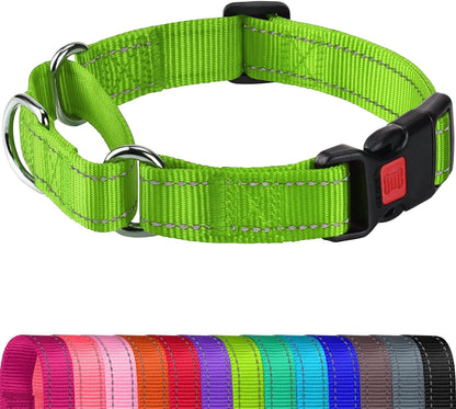 Joytale Martingale Collar for Dogs, Escape Proof No Pull, Hotpink, M | Gentle Cinch Stops Pulling without Choking, Safety Lock Buckle, Reflective Stitching for Night Walks, Soft Nylon16
