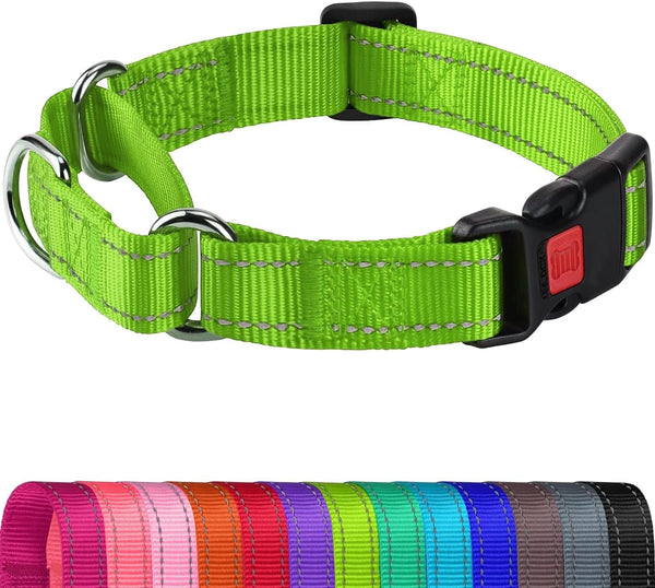 Joytale Martingale Collar for Dogs, Escape Proof No Pull, Hotpink, M | Gentle Cinch Stops Pulling without Choking, Safety Lock Buckle, Reflective Stitching for Night Walks, Soft Nylon16