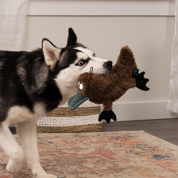 Trustypup Strong 'N Silent Platypus Silent Squeak Plush Dog Toy, Chew Guard Technology - Brown, Large2