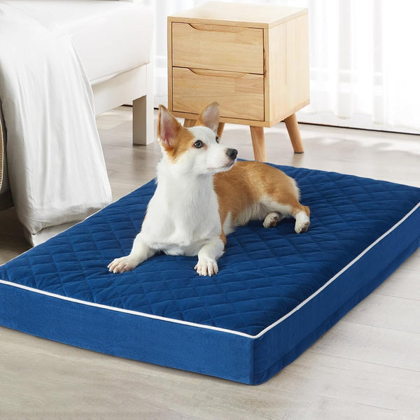 WNPETHOME Orthopedic Waterproof Extra Large Senior Dogs Bed for Comfy Sleeping with Removable Washable Cover, Multi-Needle Quilting XL Crate Bed for Large Sized Dog Relax, Light Grey17