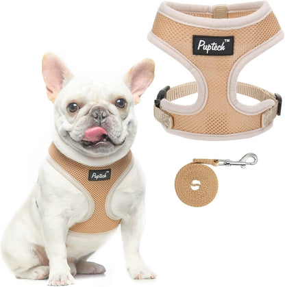 PUPTECK Soft Mesh Dog Harness Small Sized and Leash Set Pet Puppy Cat Comfort Padded Vest No Pull Harnesses, Beige, S16