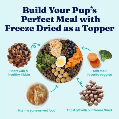 Solid Gold Freeze Dried Dog Food - W/Real Beef, Pumpkin & Superfoods - Freeze Dried Raw Dog Food Toppers for Picky Eaters to Serve as a Nutrient-Dense Meal Topper or High Protein Treats - 1.5Oz8