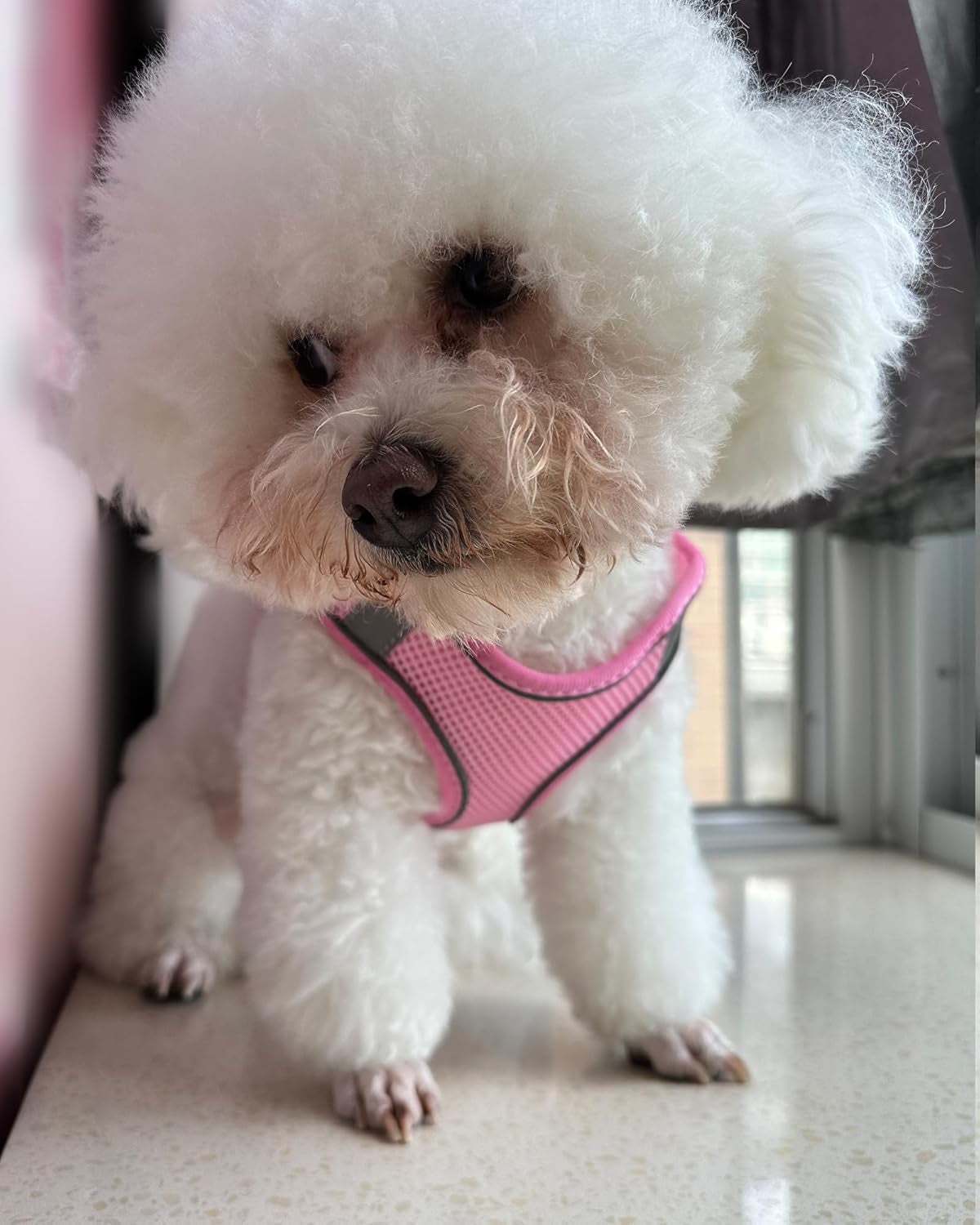 solmoony-dog-harness-for-small-medium-large-dogs-no-pull-puppy-and-leash-set-dogs-step-in-harness-mesh-harness-pink-xs