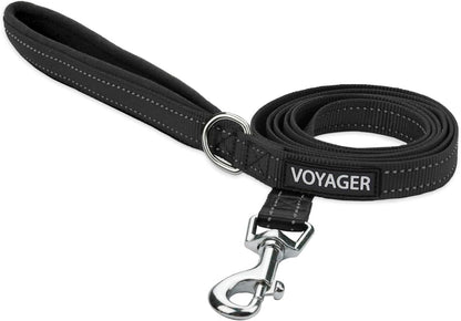 Best Pet Supplies Voyager Nylon Dog Leash - Fuchsia, Small | 5Ft in Length, 5/8" in Width, Reflective, Soft Neoprene Handle, Heavy Duty Metal Clips for Running, Walking & Training18