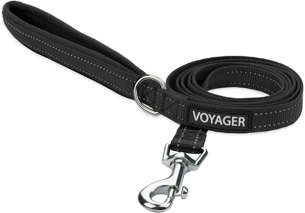 Best Pet Supplies Voyager Nylon Dog Leash - Fuchsia, Small | 5Ft in Length, 5/8" in Width, Reflective, Soft Neoprene Handle, Heavy Duty Metal Clips for Running, Walking & Training18