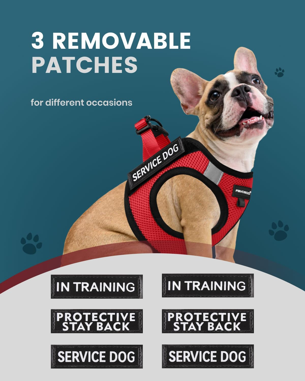 fayogoo-service-dog-vest-for-small-dogs-lightweight-dog-harness-with-6pcs-removable-patches-puppy-harness-and-leash-set-for-walking-training