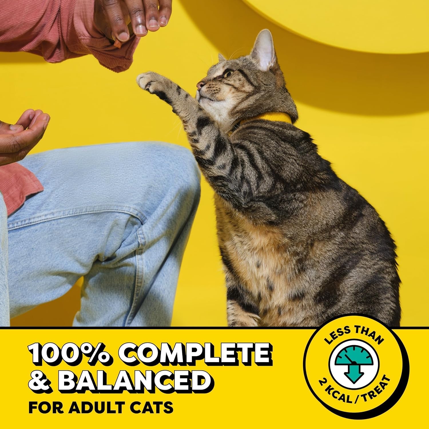 temptations-classic-crunchy-and-soft-cat-treats-creepy-catnip-16-oz-under-2-calories-per-treat-100-complete-balanced-for-adult-cats-resealable-stay-fresh-tub-use-as-snack-meal-or-topper
