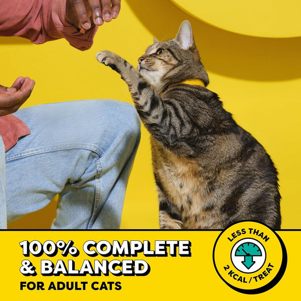 Temptations Classic Crunchy and Soft Cat Treats, Creepy Catnip, 16 Oz | under 2 Calories per Treat, 100% Complete & Balanced for Adult Cats, Resealable Stay-Fresh Tub, Use as Snack, Meal, or Topper3