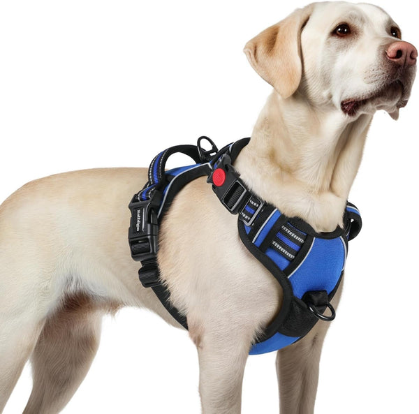 Rabbitgoo Dog Harness Medium Sized, Updated Easy on & off with 3 Buckles | No Pull No Choke, Walking with 2 Clips and Handle, Adjustable Soft Reflective, Blue, Medium33