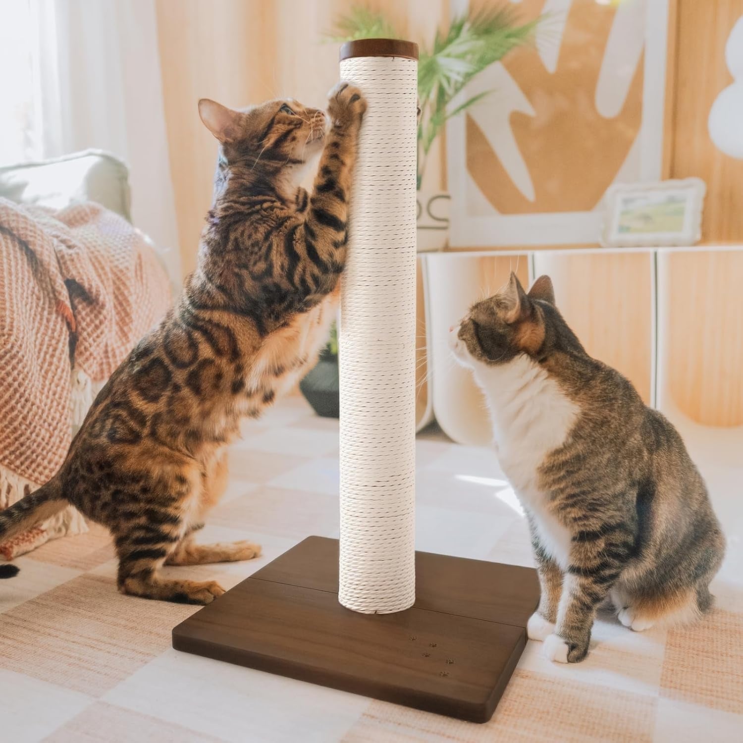 necoichi-23-6-tall-cat-scratching-post-kitten-scratcher-paper-rope-scratch-posts-trees-with-hanging-for-indoor-cats-23-6-inches-for-kitty-regular-oak