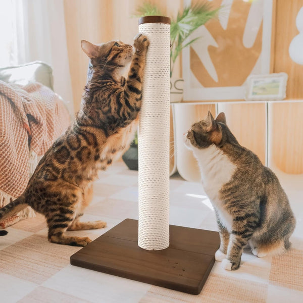 Necoichi 23.6” Tall Cat Scratching Post Kitten Scratcher Paper Rope Scratch Posts Trees with Hanging for Indoor Cats (23.6 Inches for Kitty, Regular, Oak)8