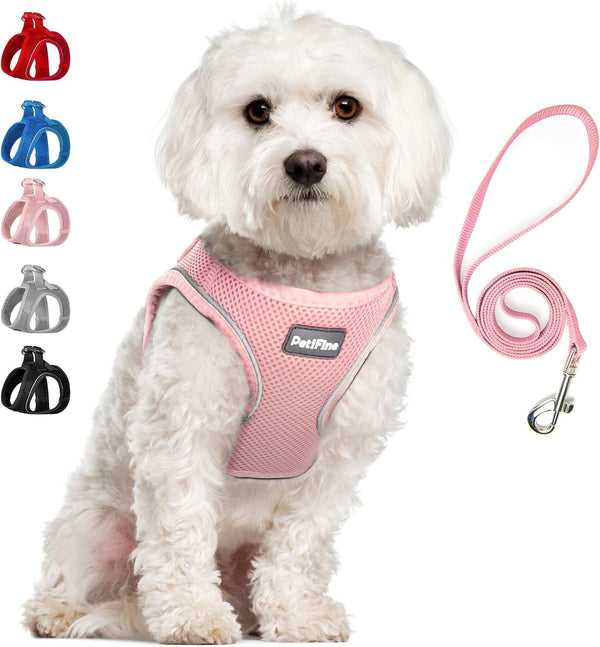 Small Dog Harness and Leash Set Breathable Step-In Puppy Cat Harness,Xs | Reflective for Safe Easy Walking,Soft Light Puppy Vest,Escape Proof,No Pull Harness for Dogs,All Weather Air Mesh Harness17