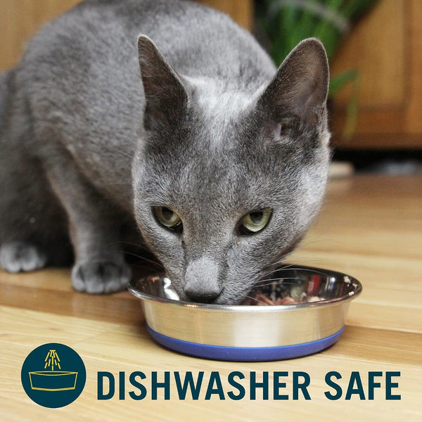 Our Pets Durapet Stainless Steel Non-Slip (Cat Food Bowl or Water Bowl) (Holds up to 1 Cup of Wet or Dry Food) Easy to Clean | Holds Wet or Dry Meals, Easy to Rinse Clean, Grippy Base Keeps It in Place during Mealtime, Durable Everyday Feeding Dish6