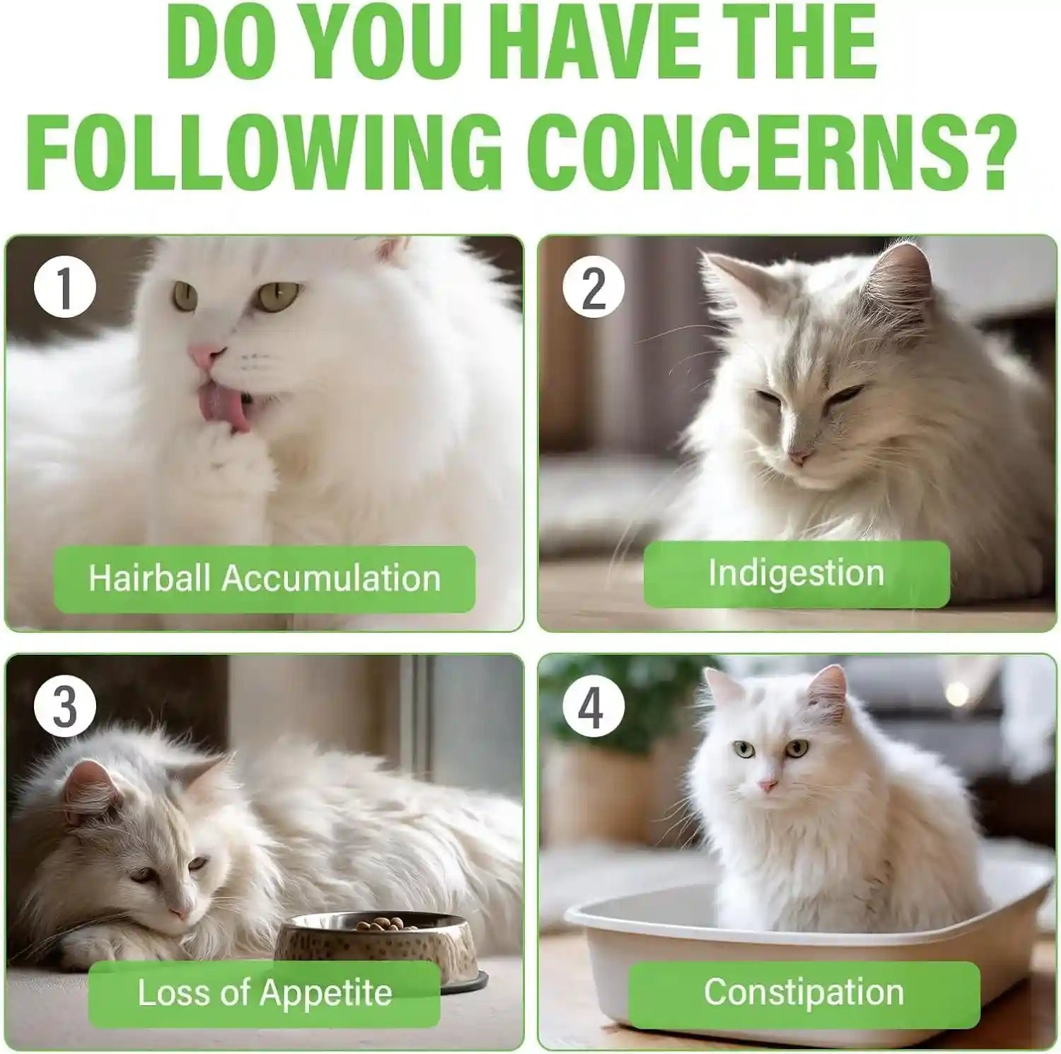 cat-grass-treats-for-indoor-cats-crunchy-wheatgrass-snacks-for-cats-120g-ready-to-eat-wheatgrass-treats-supports-natural-digestive-health-hairball-passage-grain-free-crunchy-for-dental-care