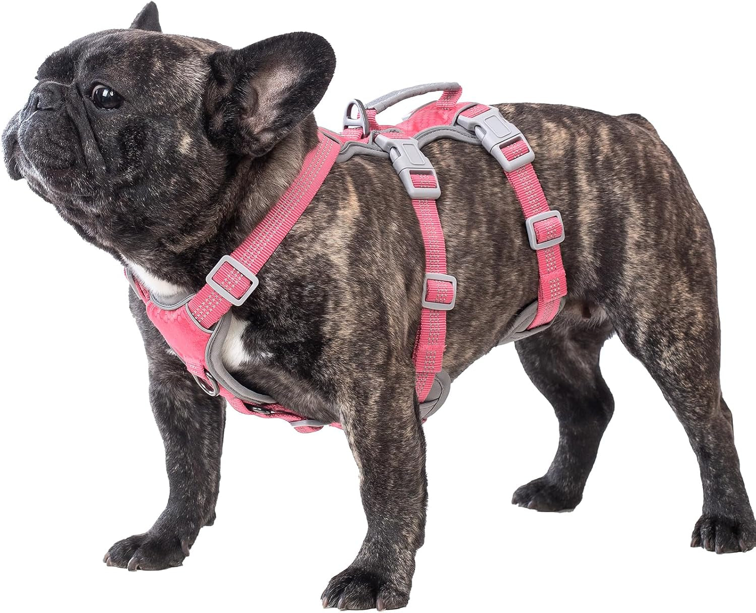 huntboo-escape-proof-dog-harness-escape-artist-harness-reflective-harness-with-padded-handle-breathable-durable-adjustable-vest-for-medium-dogs-walking-training-and-running-gear-blue-m
