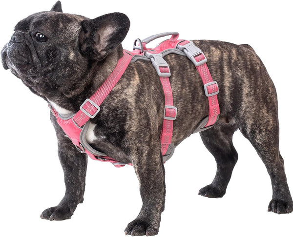 Huntboo Escape Proof Dog Harness, Escape Artist Harness, Reflective Harness with Padded Handle, Breathable, Durable, Adjustable Vest for Medium Dogs Walking, Training, and Running Gear (Blue, M)22
