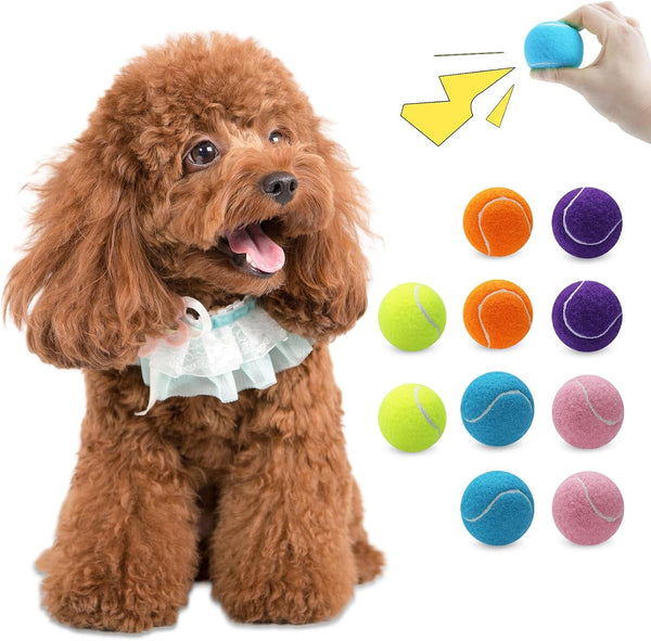 Magicorange 10 Pack Squeaky Mini Tennis Balls, 1.5 Inch Small Dog Ball | Tennis Balls for Dogs, Colorful Easy Catching Pet Dog Playing Ball,Multicolor1