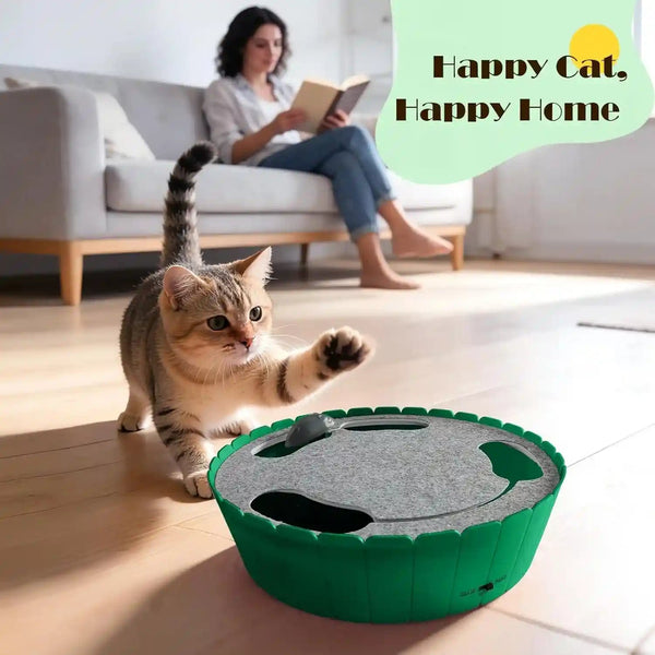 Pawaboo Interactive Cat Toy with Running Mouse, Electronic Motion Cat Toy Automatic Teaser for Indoor Cats, Pop and Play Hide Seek Cat Toys Hunting Mouse for Pet Cat Kitten Play Fun Exercise, Green6