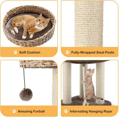 PETSITE 41 Inch Modern Cat Tree for Indoor Cats, Multi-Level Cat Tower with Scratching Posts, Hand-Made Wicker Cat Condo & Top Perch, Dangling Ball, Sisal Rope, Cute Cat Tree for Indoor Cats2
