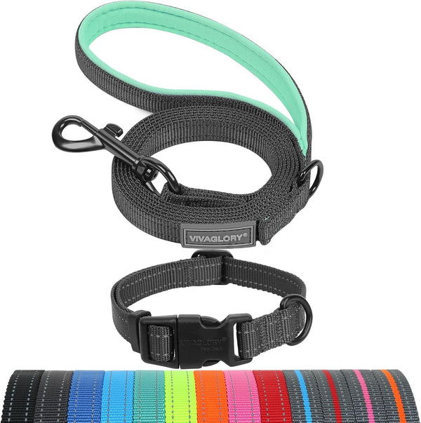 VIVAGLORY Dog Leash Puppy Leash for Collar, 3Ft X 1In, Black | with Soft Padded Handle for Training & Walking, Heavy Duty & Double Layer Nylon Pet Puppy21