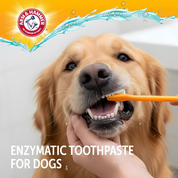 Arm & Hammer Complete Care Enzymatic Dog Toothpaste, Chicken, 6.2 Oz | Fluoride-Free Formula with Baking Soda and Calcium Fights Plaque and Tartar, Freshens Breath, Value Size4
