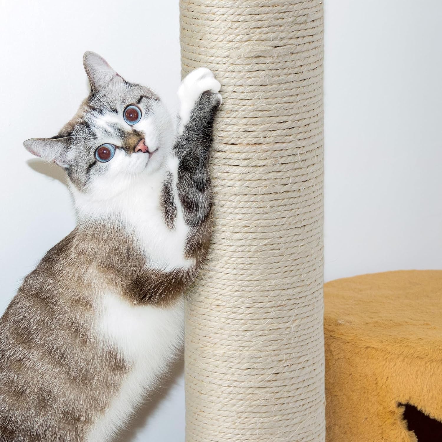 arrowbash-8-pcs-m8-cat-scratching-post-replacement-15-7x3-1-sisal-pole-cat-tree-climbing-post-replacement-with-screw-refill-scratcher-pole-for-indoor-kitten-tree-tower-spare-pet-furniture-protector
