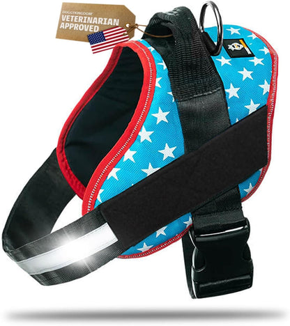 DOGGYKINGDOM No Choke Dog Harness with Handle and Patch Panels, Adjustable Reflective Dog Vest for Small Sized Dog, Blue, S11
