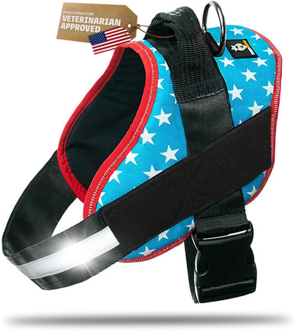 DOGGYKINGDOM No Choke Dog Harness with Handle and Patch Panels, Adjustable Reflective Dog Vest for Small Sized Dog, Blue, S11
