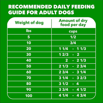 IAMS Proactive Health Adult Minichunks Dry Dog Food, Chicken, 30 Lb | Real Chicken #1 Ingredient, No Fillers, Natural Fiber & Prebiotics, Omega-6 Fatty Acids, Antioxidants for Immune Support10