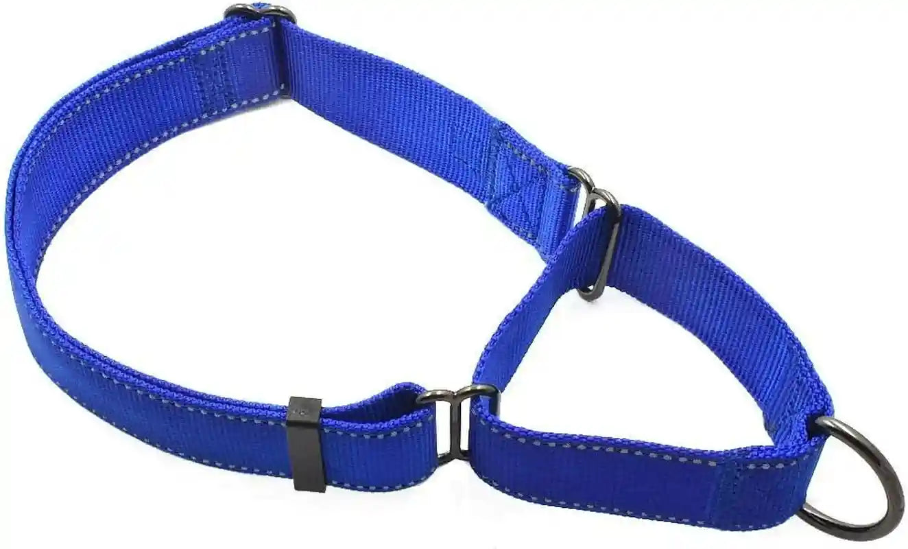 max-and-neo-nylon-martingale-collar-we-donate-to-a-dog-rescue-for-every-collar-sold-medium-orange