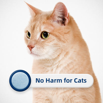 HONEY CARE All-Absorb Cat Litter Odor Eliminator Tablets 丨 Refresh Smell Long-Lasting Scent Away - Jasmine Fragrance (10Pcs/Box=4-10 Weeks), Blue8
