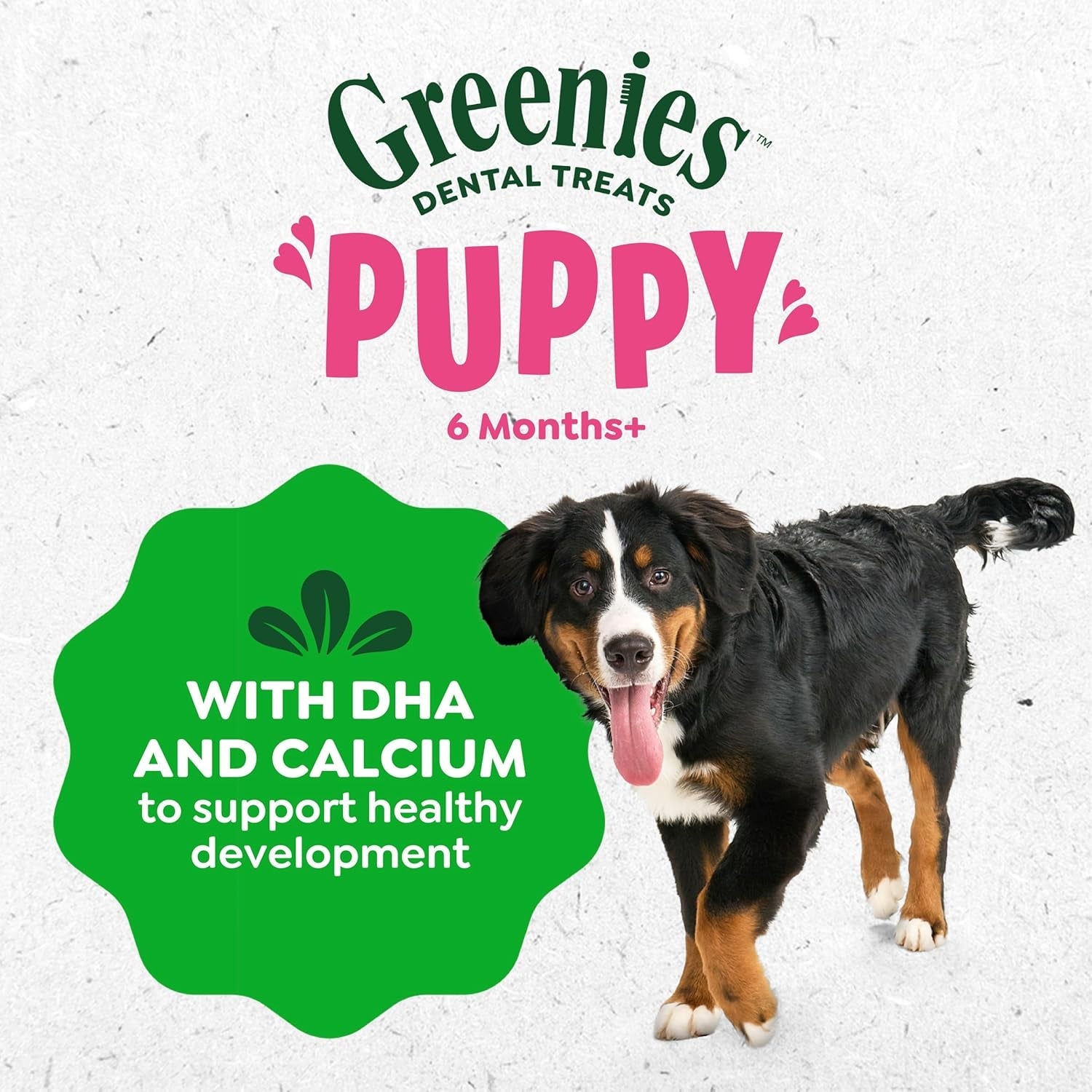greenies-puppy-regular-natural-dental-dog-treats-original-flavor-12-count-veterinarian-recommended-natural-ingredients-cleans-teeth-freshens-breath-for-puppies-25-50-lbs-6-oz-pack