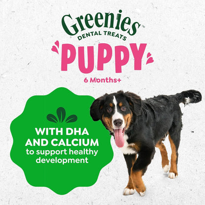 Greenies Puppy Regular Natural Dental Dog Treats, Original Flavor, 12 Count | Veterinarian-Recommended, Natural Ingredients, Cleans Teeth & Freshens Breath, for Puppies 25-50 Lbs, 6 Oz. Pack9