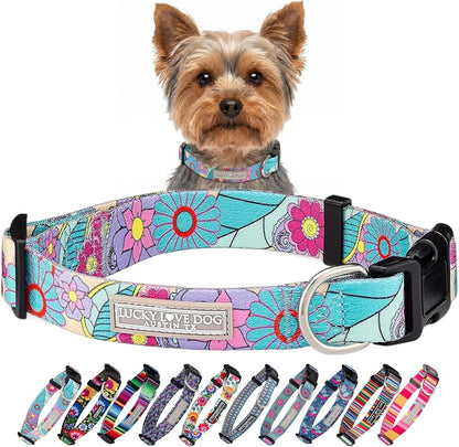 Lucky Love Dog - Easy Click Buckle Dog Collar with Leash Set Combo, Durable & Comfortable for Male & Female Dogs, Pet Collar for Medium Dogs, Secure Fit - Blackbird Combo, Medium87