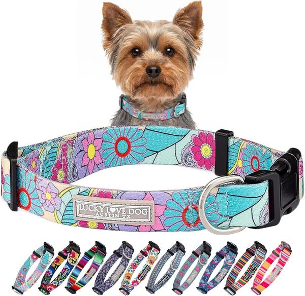 Lucky Love Dog - Easy Click Buckle Dog Collar with Leash Set Combo, Durable & Comfortable for Male & Female Dogs, Pet Collar for Medium Dogs, Secure Fit - Blackbird Combo, Medium87