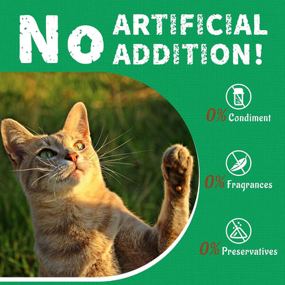 Just Try 13.4 OZ Crunchy Cat Treats Catnip Treats for Cats with Digestive Support, Natural Ingredients Kitten Treats with Real Salmon, Healthy Feline Snacks Training Biscuits Dental Care | Natural Chicken & Catnip. Crunchy Cleans Teeth, Fiber Reduces Hairballs. Perfect Training Rewards for All Cats.6