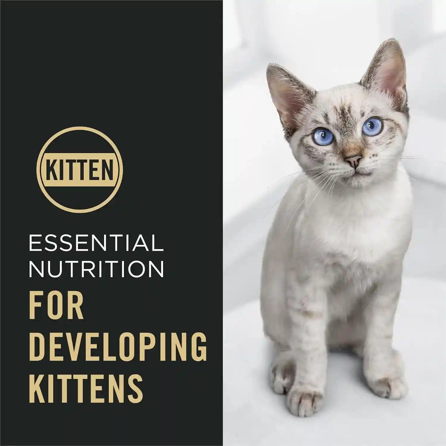 purina-pro-plan-kitten-dry-food-complete-essentials-chicken-and-rice-formula-3-5-pound-pack-of-1