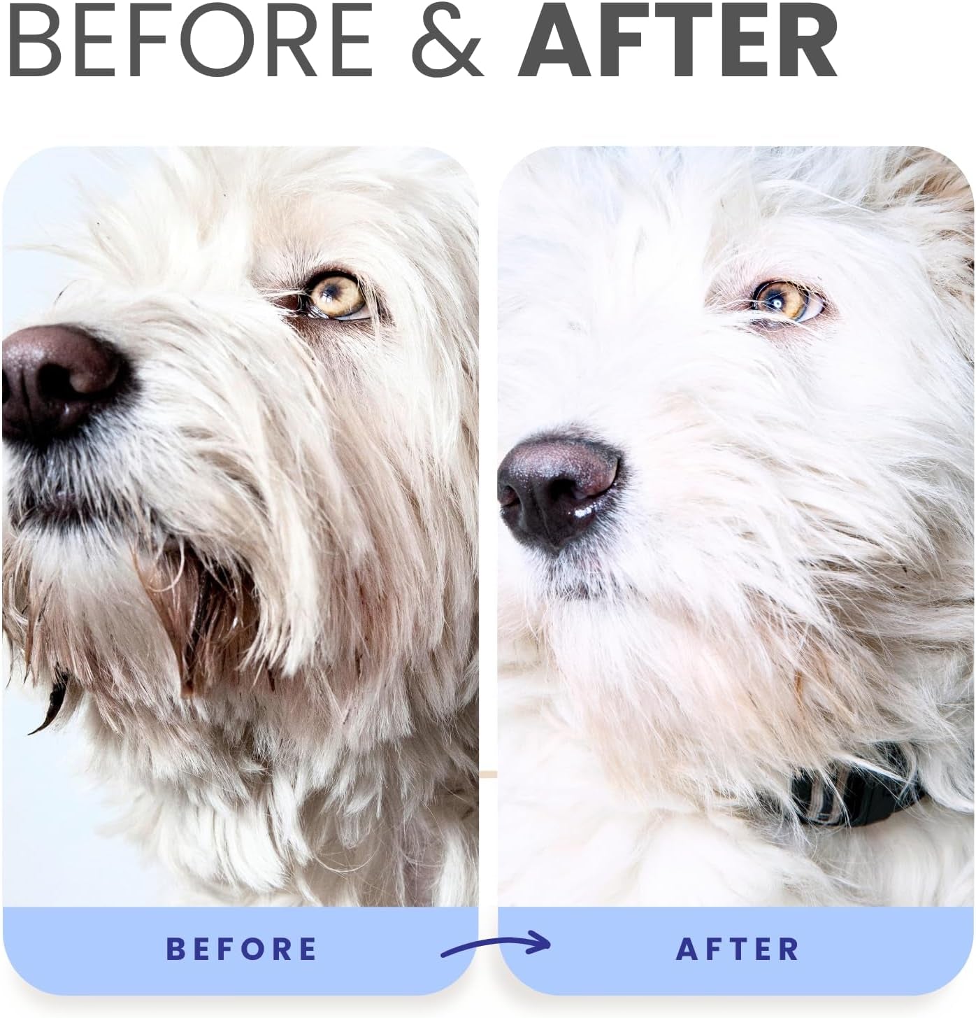 lillian-ruff-pro-formula-berry-blue-brightening-pet-shampoo-ultra-hydrating-professional-whitening-dog-shampoo-vivid-show-quality-coat-enhancer-tear-stain-odor-eliminator-with-provitamin-b5-16oz