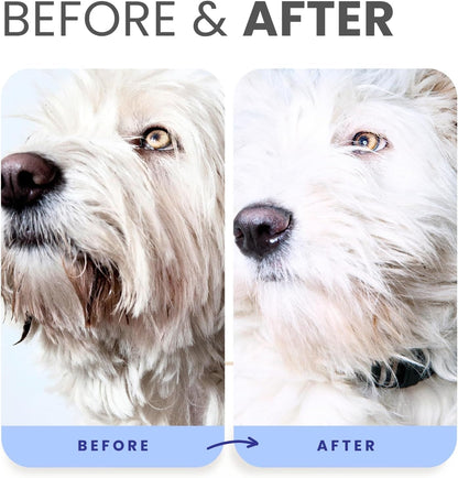 Lillian Ruff PRO Formula Berry Blue Brightening Pet Shampoo - Ultra-Hydrating Professional Whitening Dog Shampoo, Vivid Show-Quality Coat Enhancer, Tear Stain & Odor Eliminator with Provitamin B5 16Oz6