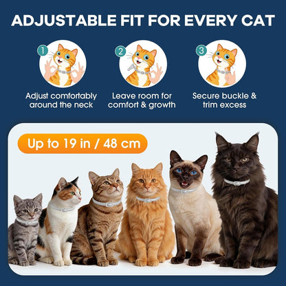 Flea and Tick Collar for Cats 5 Pack, 8 Months Protection, Plant-Based Ingredients, Water-Resistant, Adjustable & Lightweight, Suitable for Adult Cats & Kittens, White7