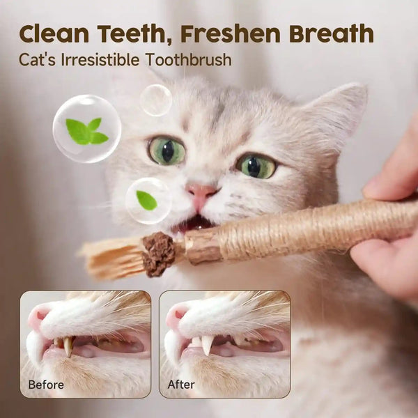 Potaroma 3 Pack Natural Silvervine Sticks Cat Toys, Catmint Silvervine Blend Sticks, Catnip Kittens Chew Toys Teeth Cleaning, Matatabi Dental Care Cat Treat Edible Kitty Lick Toys, Package May Vary | Kittens Chew Toys for Teeth Cleaning, Matatabi Dental Care Cat Treat, Edible Kitty Lick Toys4