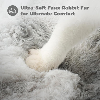 Avont Cat Bed Cave for Indoor Cats, Semi-Enclosed with Washable Cushion | Anti-Slip Bottom, Warm Plush, for Kittens & Small Dogs under 10 Lbs (M)3