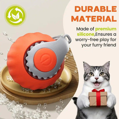 Interactive Cat Toy for Indoor Cats, Two Speed Smart Automatic Cat Toy Moving Ball with Tail, Rechargeable Motion Activated Cat Toys for Bored Indoor Adult Cats (Adapter Not Included)6