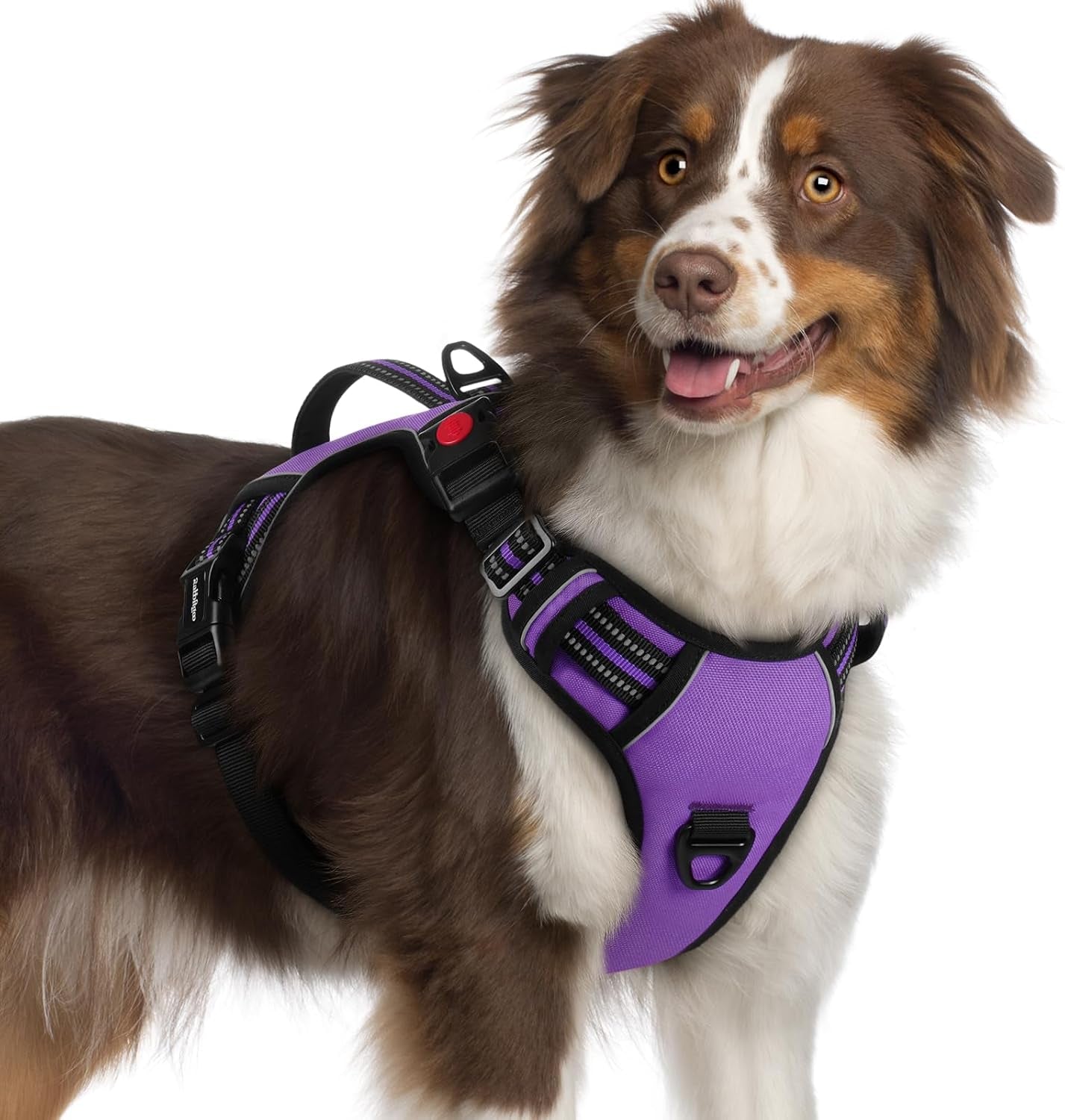 rabbitgoo-large-dog-harness-easy-wear-with-3-buckles-and-lift-handle-no-pull-with-front-clip-for-walking-adjustable-soft-padded-reflective-easy-control-pink-large